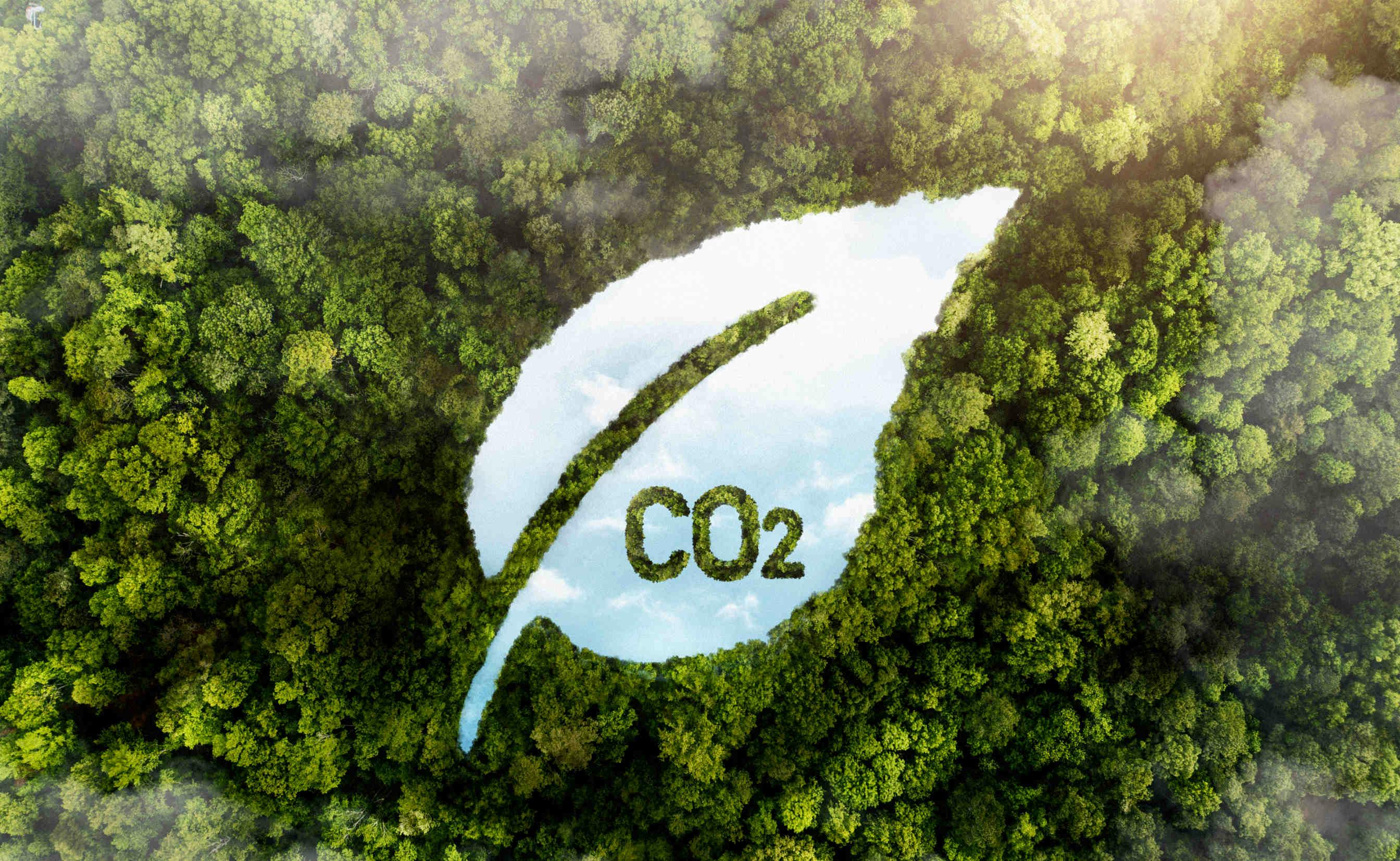 Compensare le emissioni di CO2: il mercato dei crediti