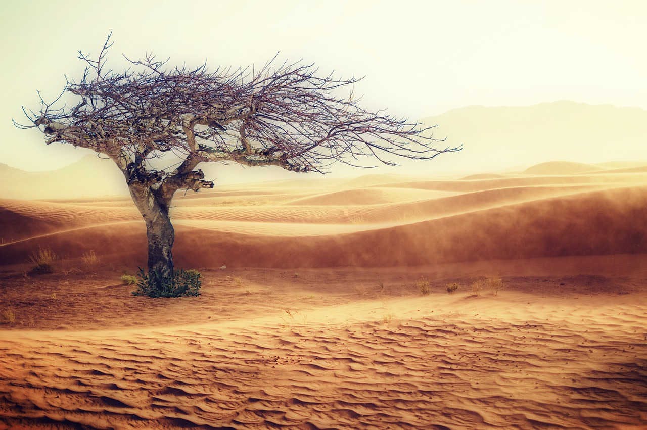 desertificazione del sahel